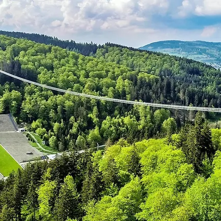 Edelweiss 'muehlenkopf' Deluxe - Mit Hotelanbindung, Saunalandschaft Und Meinecardplus Willingen (Upland)
